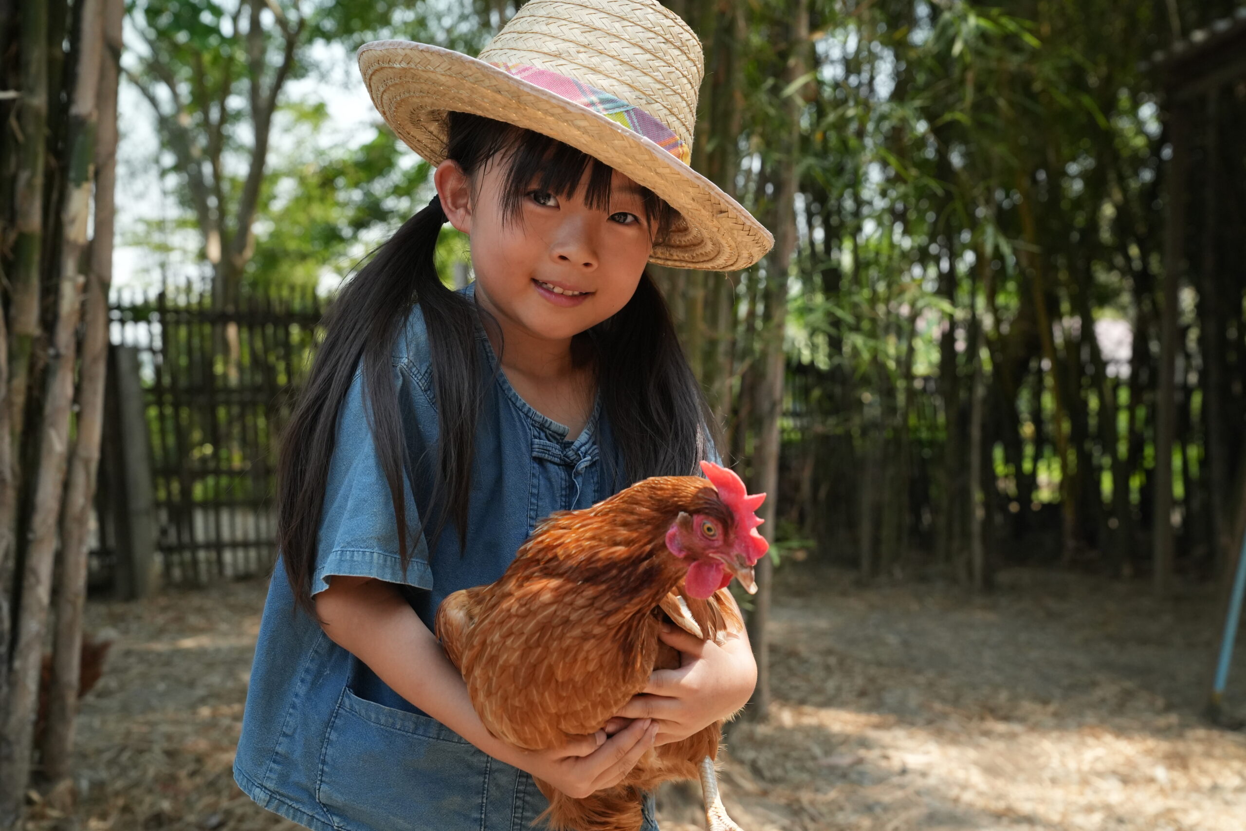 ファームではアスレチック遊び・動物とのふれあい・田植え体験＆どろんこ遊びを